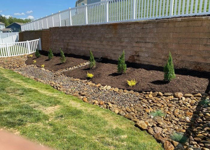 183072004_594240265300066_5973739944160231258_n