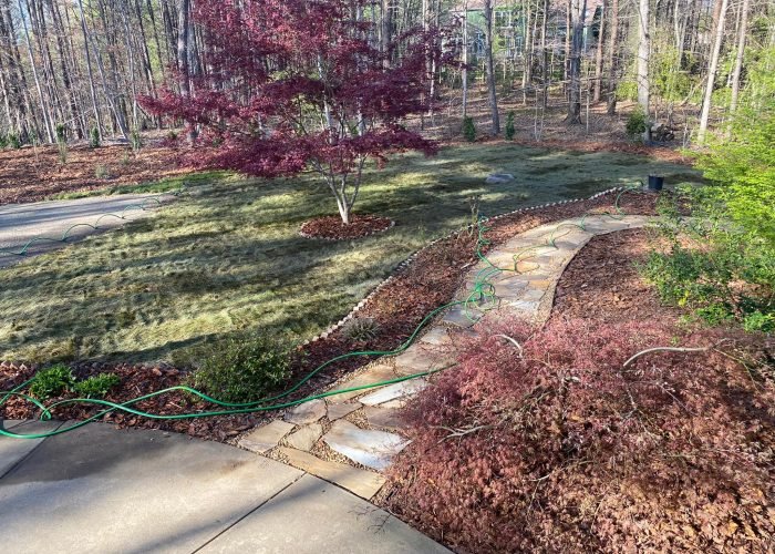 474030997_1561835238540559_7947356677713046686_n