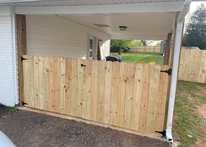 474620067_1568154364575313_6981096286619803376_n