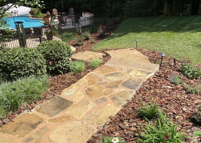 488768699_1230579432402625_2379587151827387980_n