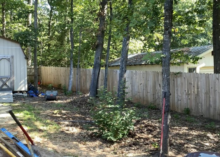 489140588_1230578905736011_3650837603040579035_n